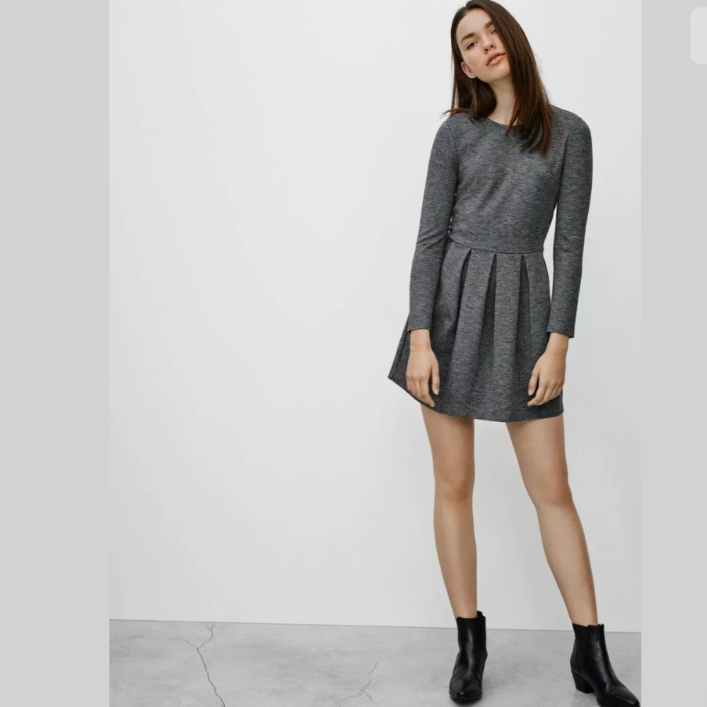 Aritzia Talula Tartine long sleeve fit flare dress
